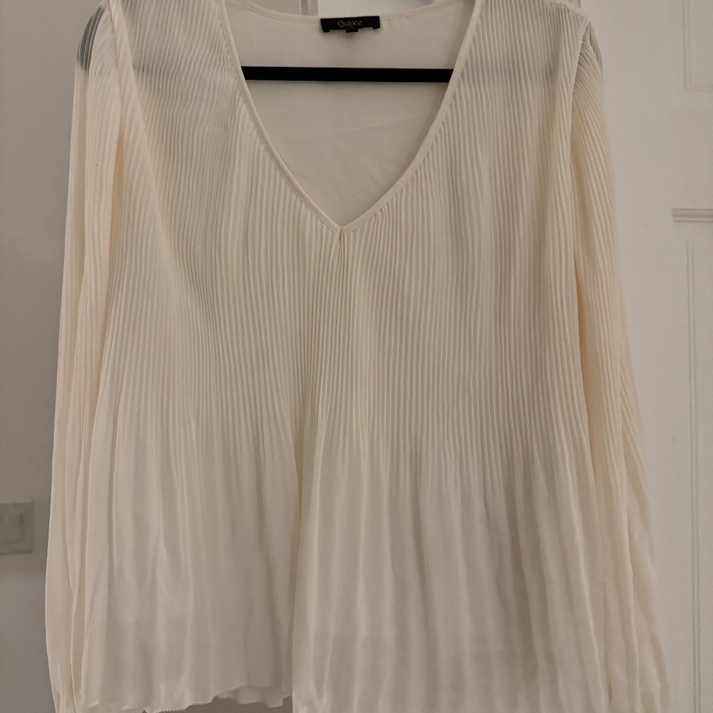 Chiffon Pleated V-Neck Blouse